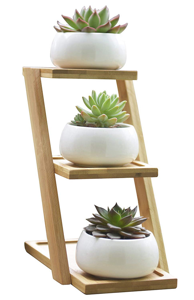 3 tier succulent planter Jusalpha 3.2 Inches Ceramic Modern Decorative Small Round Succulent Pl
