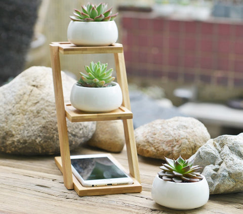 small white ceramic plant pots Jusalpha 3.2 Inches Ceramic Modern Decorative Small Round Succulent Pl