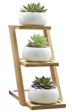 Jusalpha 3.2 Inches Ceramic Modern Decorative Small Round Succulent Plant Pot, Planter for Succulent Plants, Small Cactus and Herbs with Bamboo Tray for Room Decor- Set of 3 (Planter 01 White)